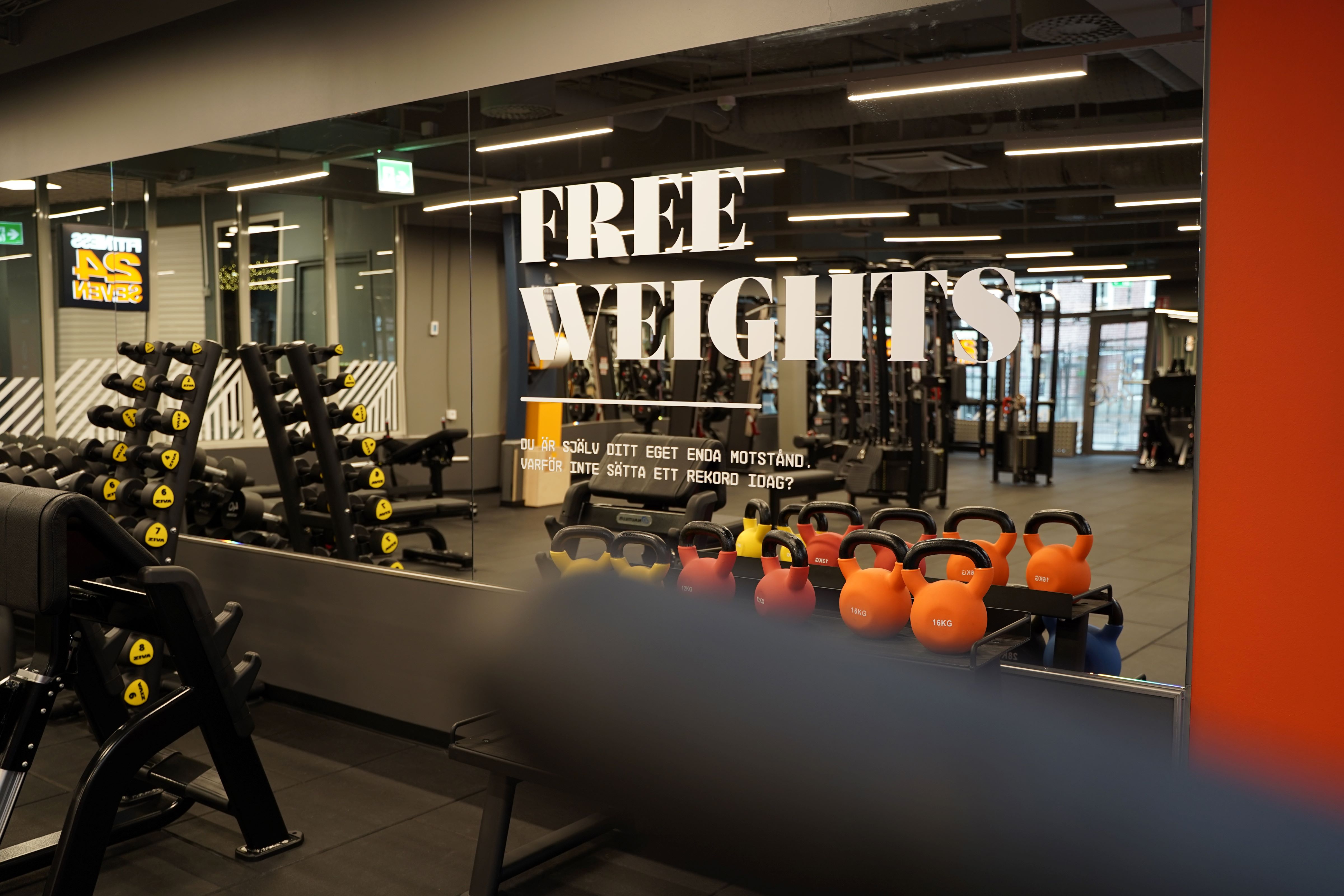 Free Weights på en spelgel med vikter framför